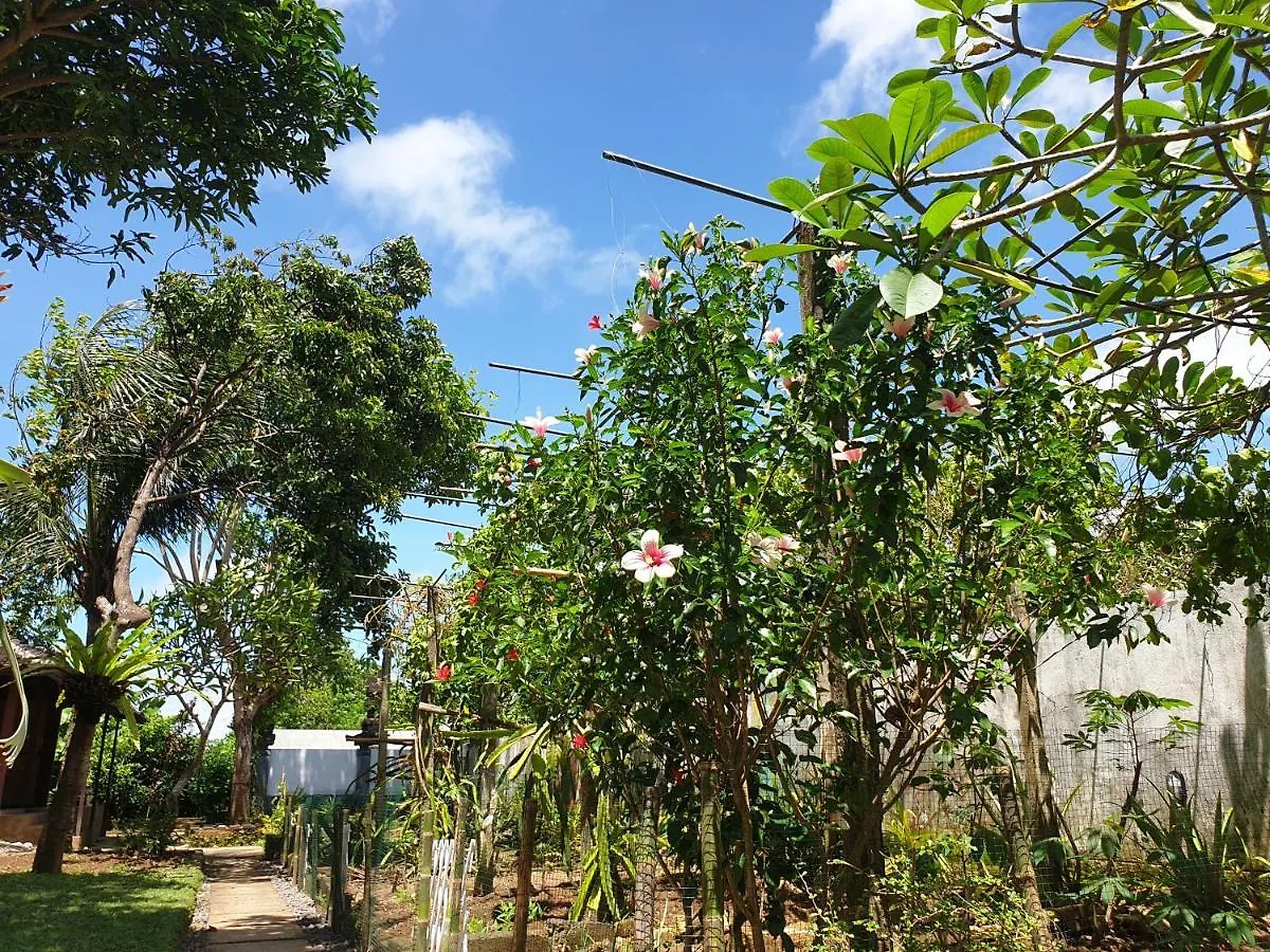 Kismet Apartment Ungasan  Homestay Ungasan (Bali)
